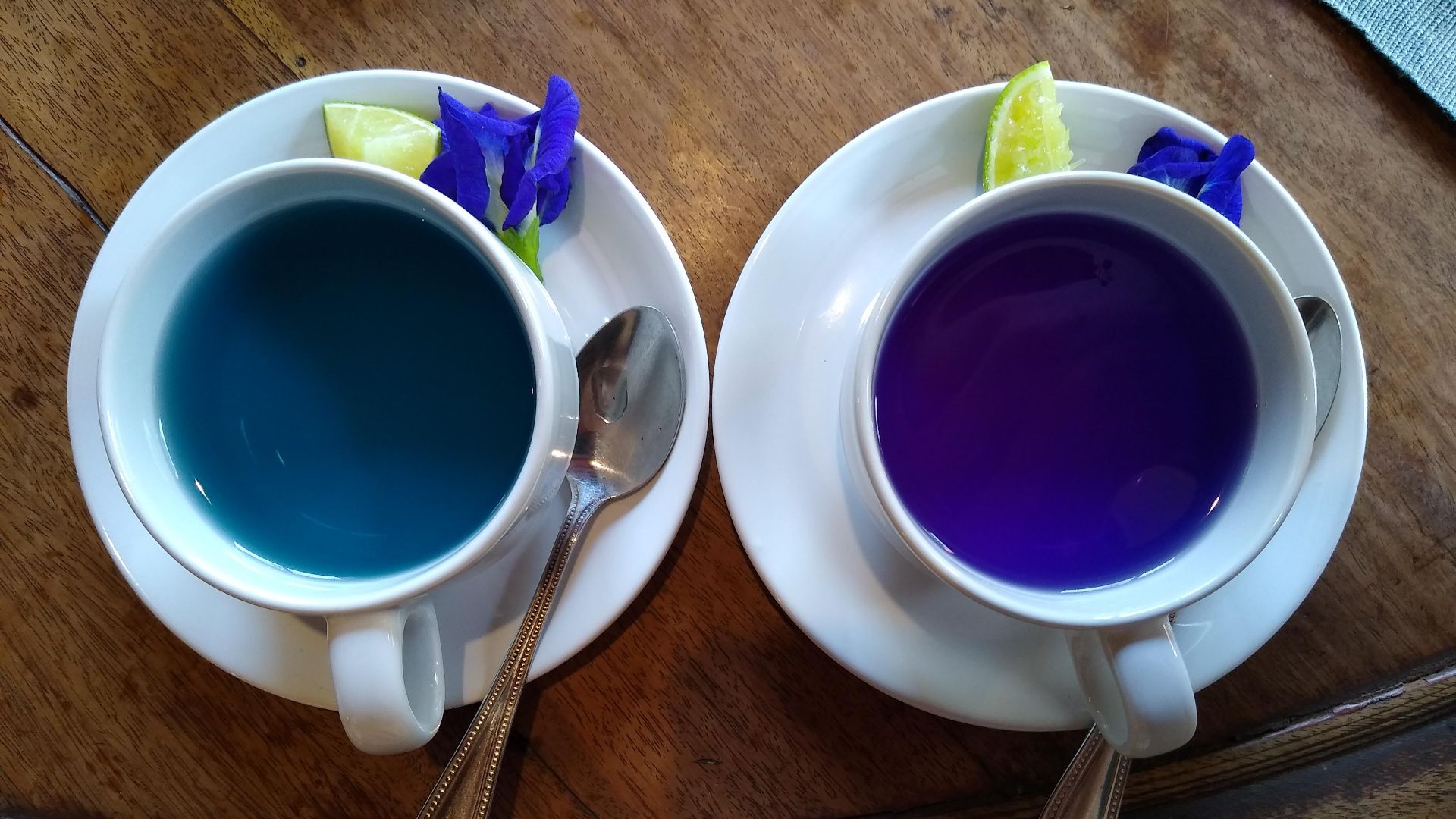 File:Butterfly-pea flower tea 3.jpg