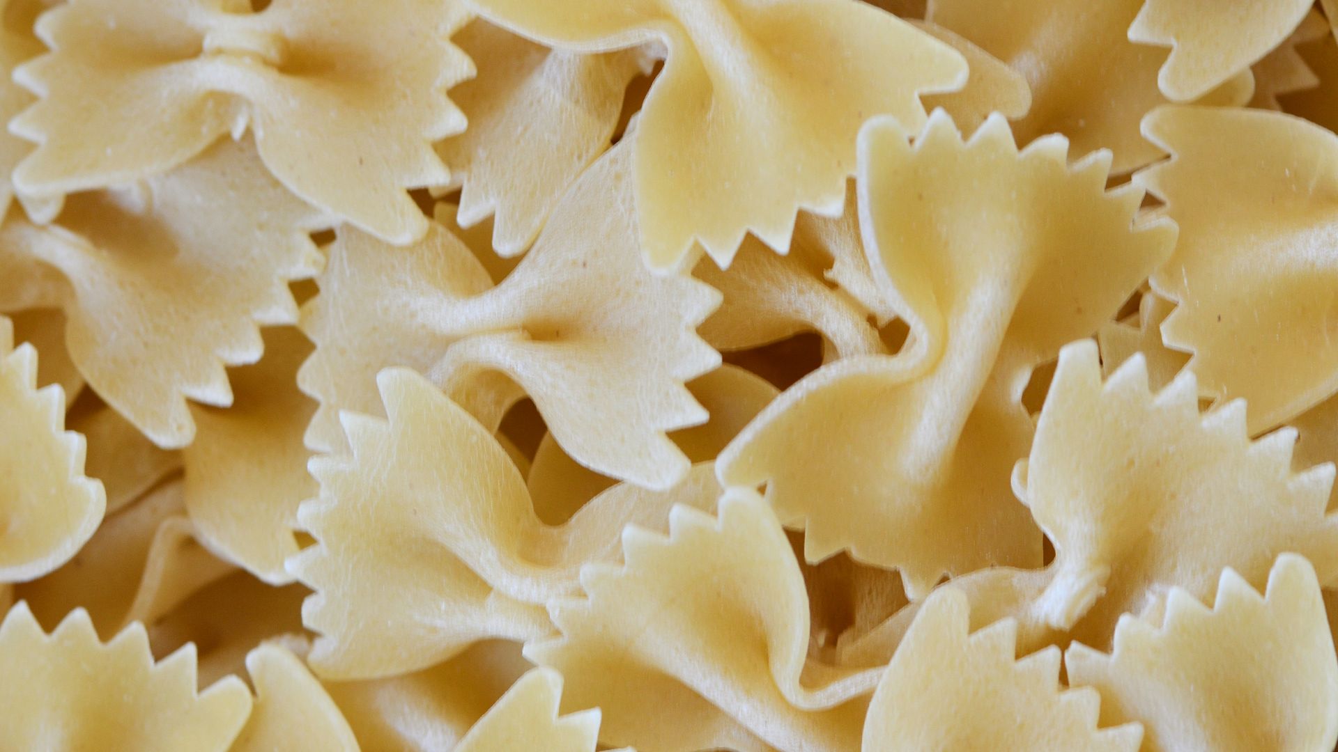 white flower petals in close up photography