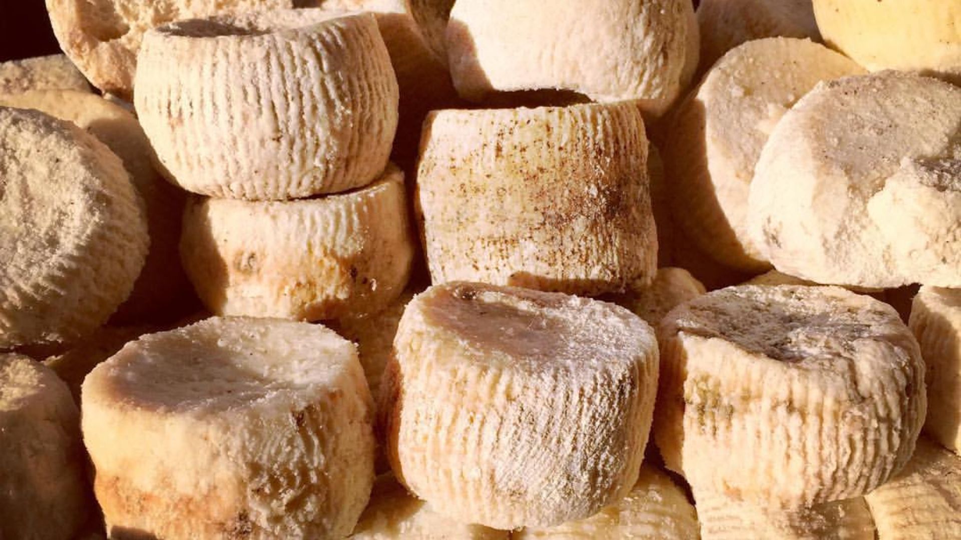 File:Ricotta salata al mercato di Siracusa.jpg