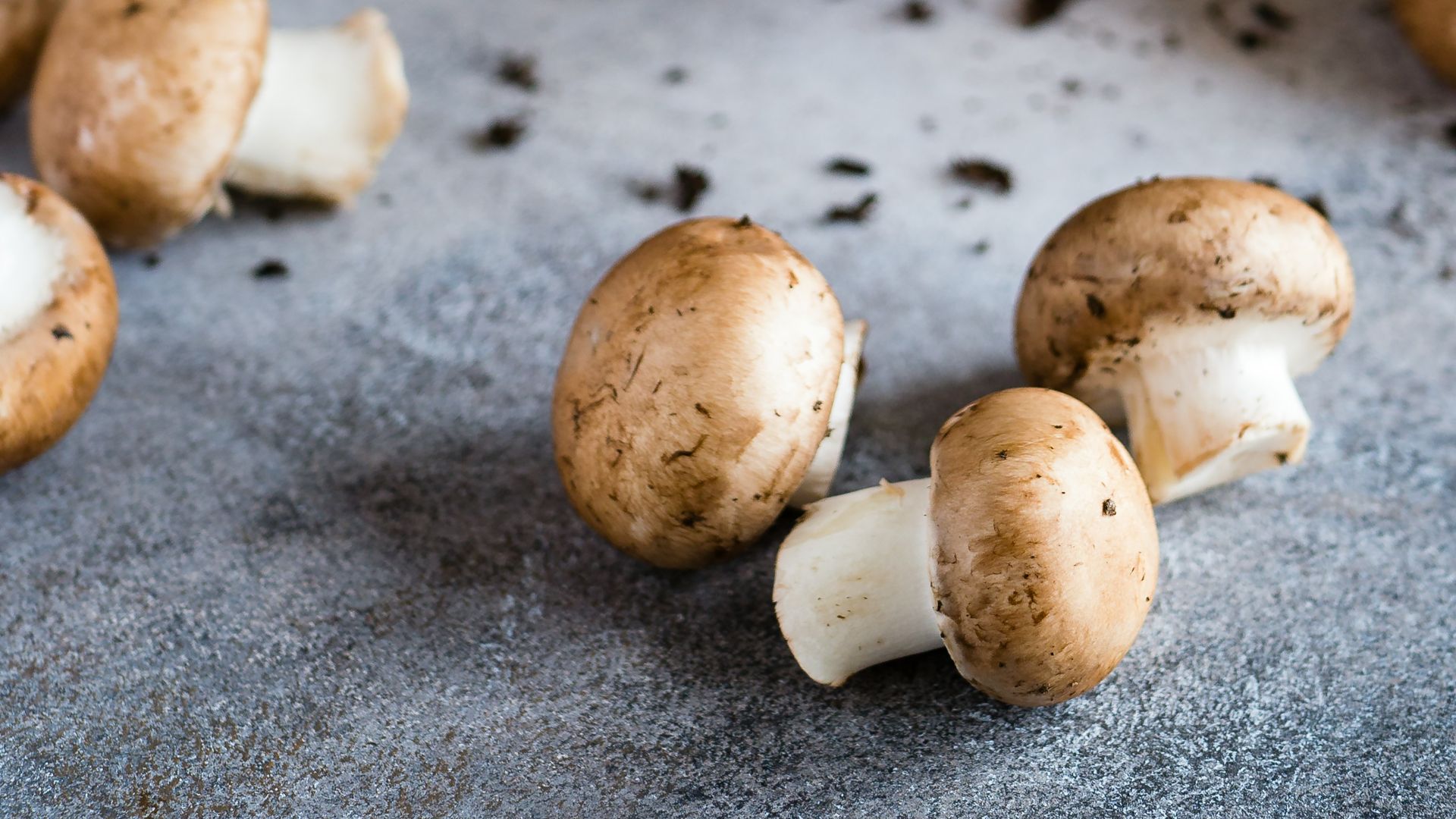 brown mushrooms on gray surface