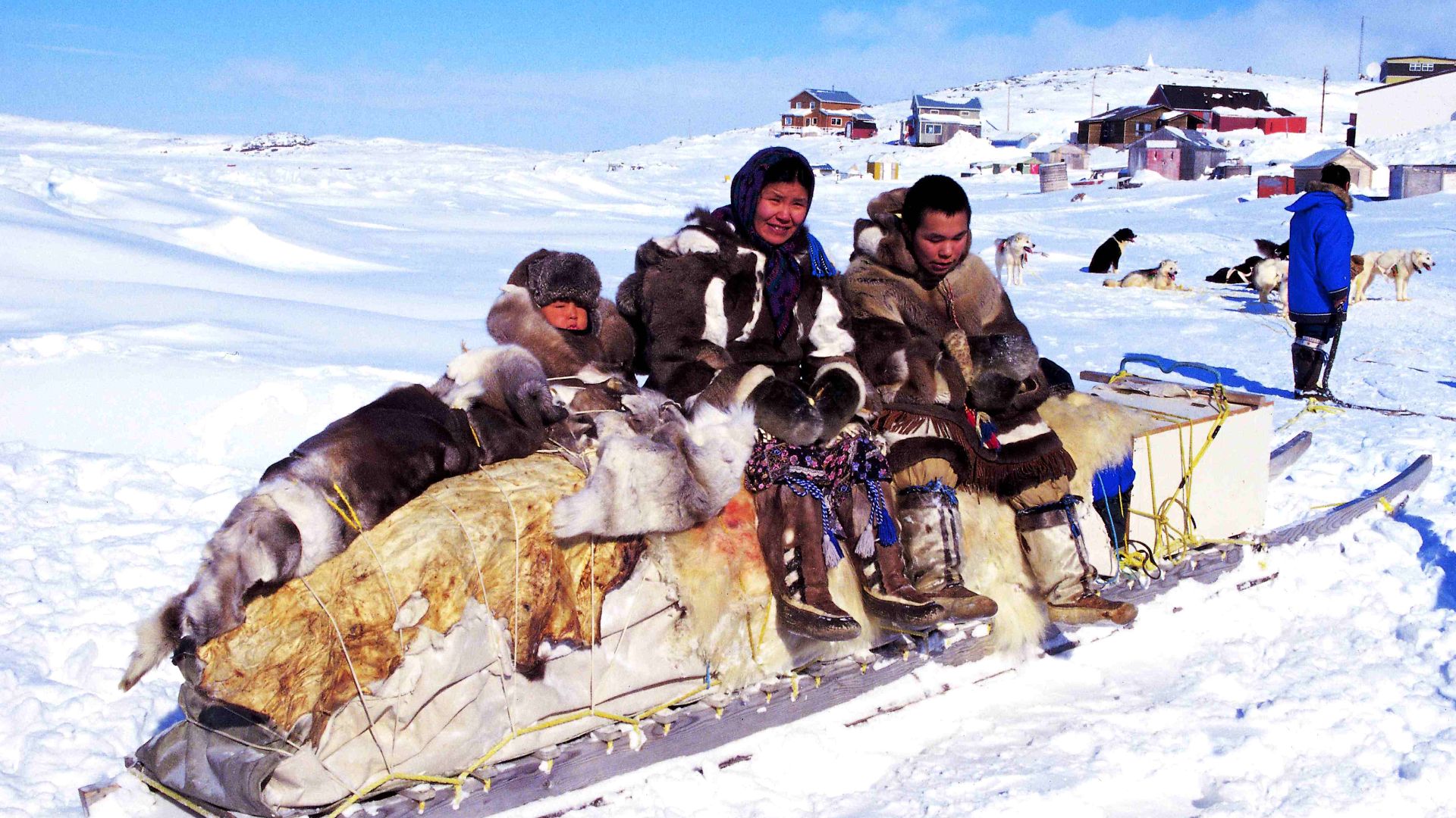 File:Qamutik 1 1999-04-01.jpg