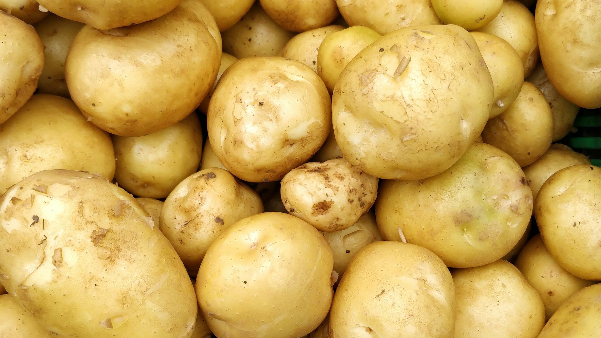 a pile of potatoes sitting next to each other