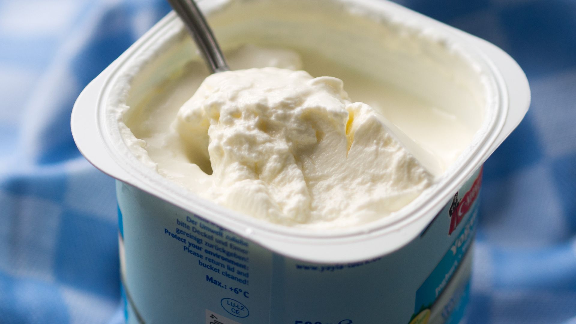 File:Turkish strained yogurt.jpg