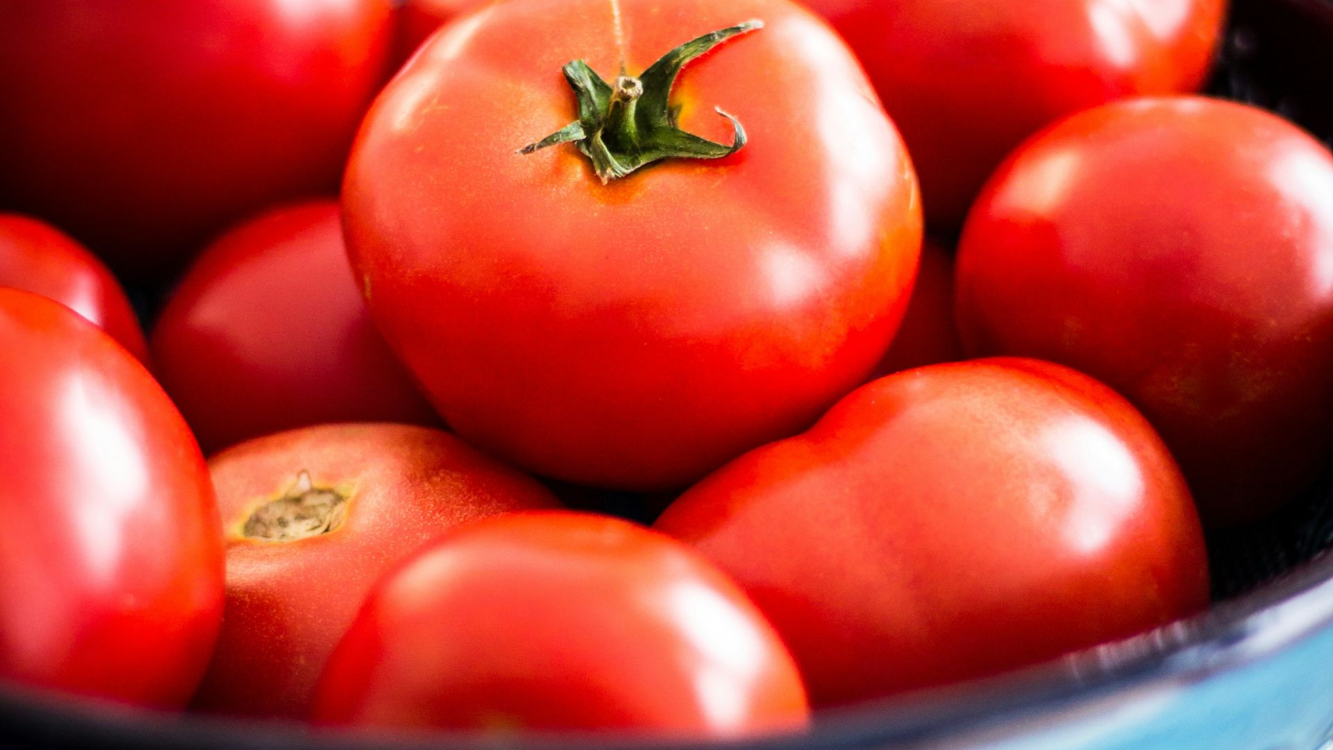 a bowl of red tomatoes