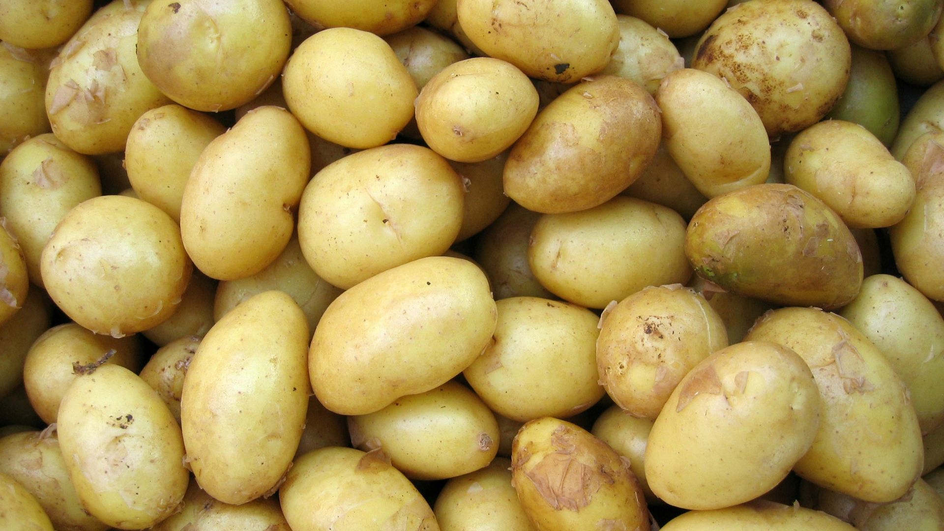 potatoes