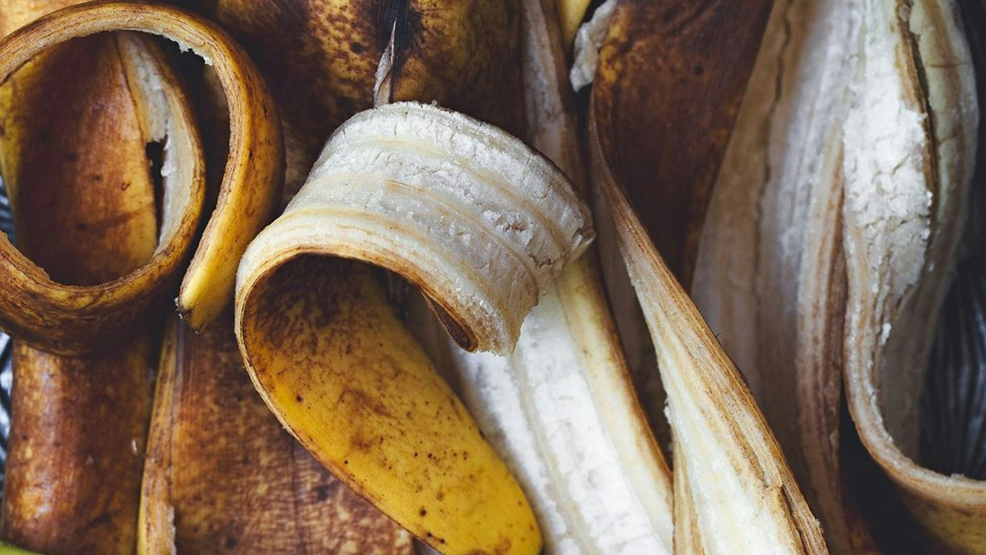 A bunch of bananas sitting on top of a table