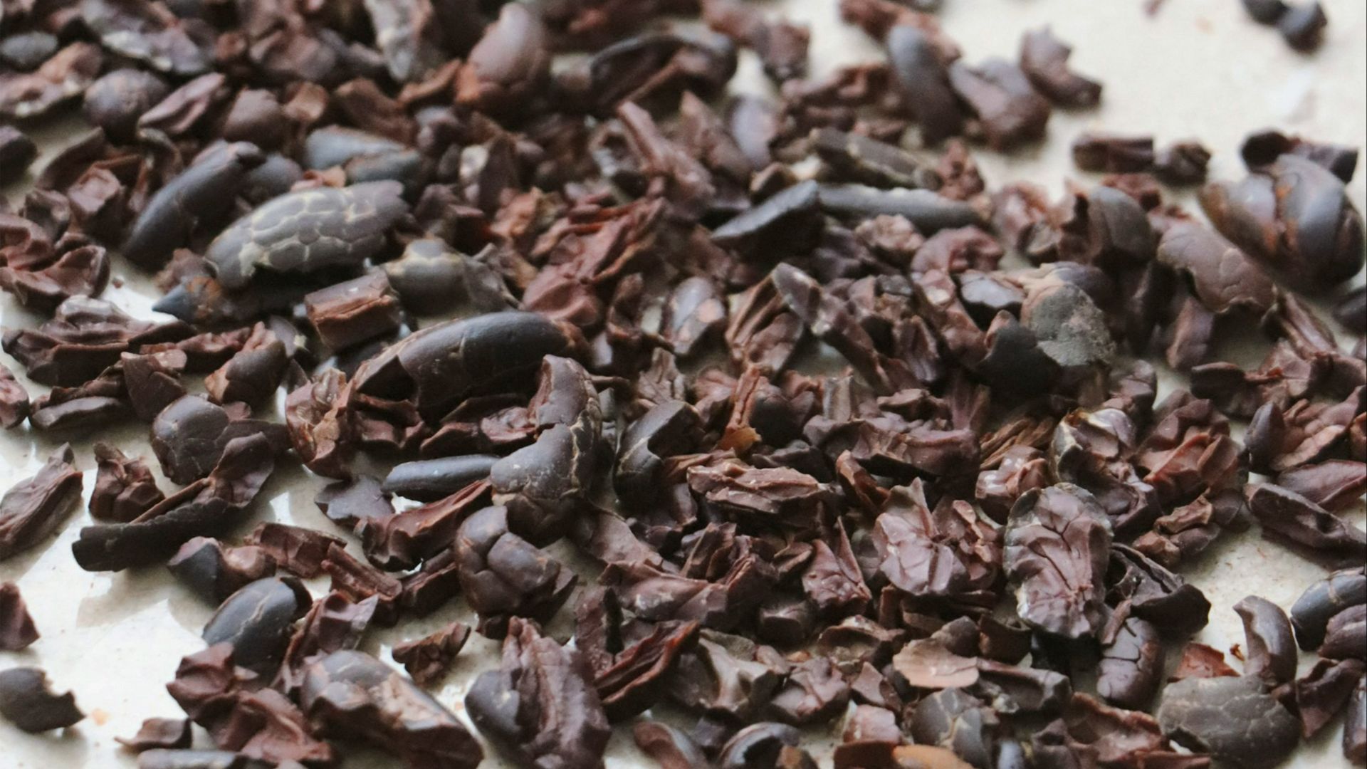 black and brown seeds on white ceramic plate