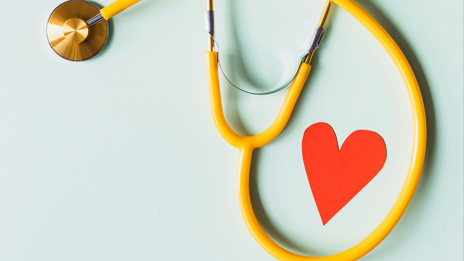 Photo By: Kaboompics.com