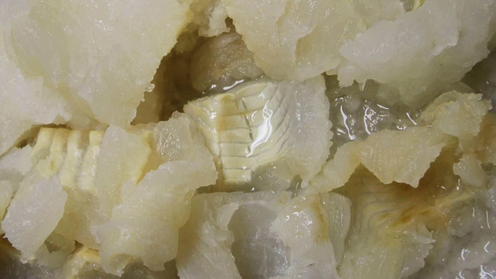 File:LandsLutheranLutefisk.jpg