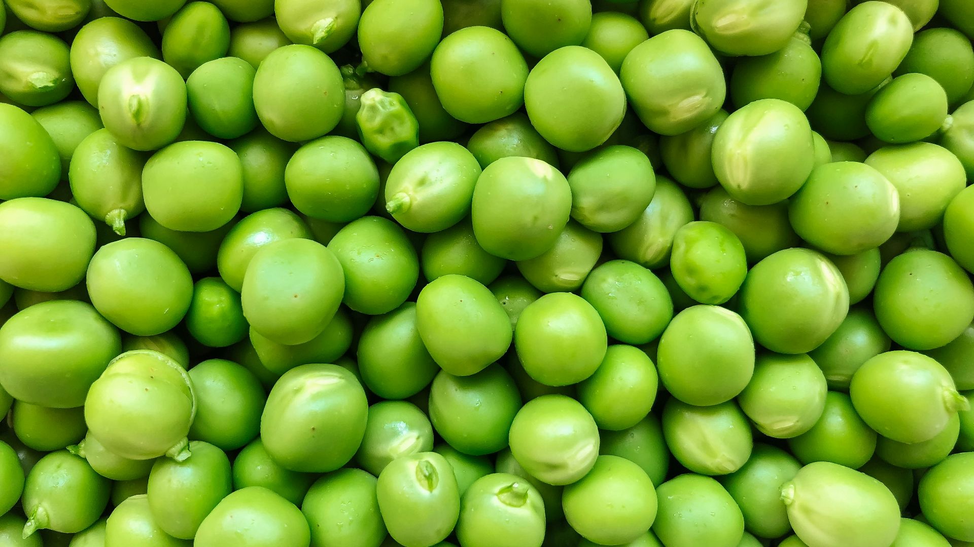 green round fruits in close up photography