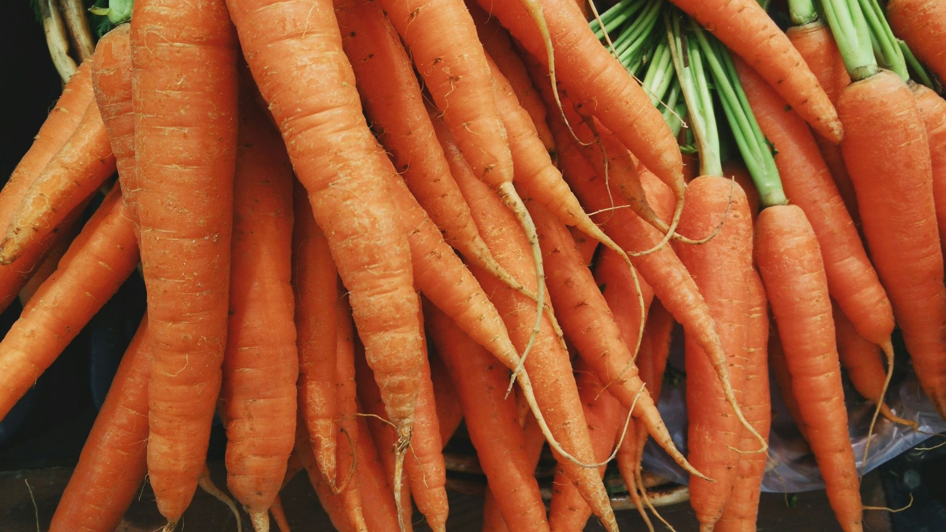 closeup photo of bunch of orange carrots