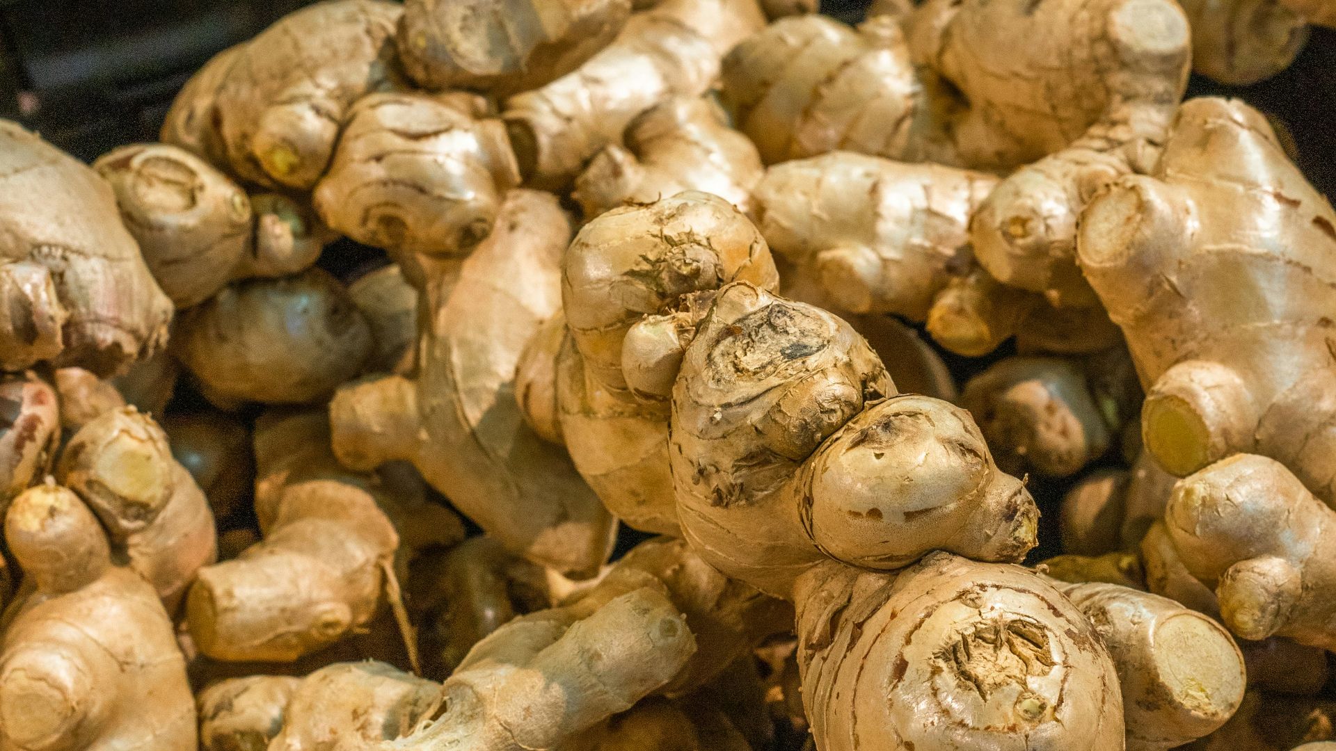 brown garlic on black plastic container