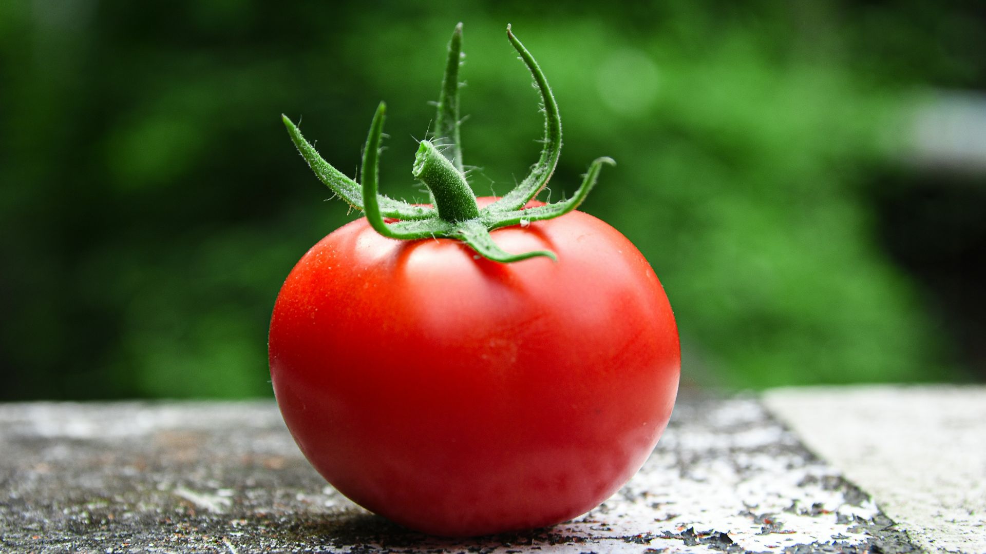 red tomato on gray concrete surface