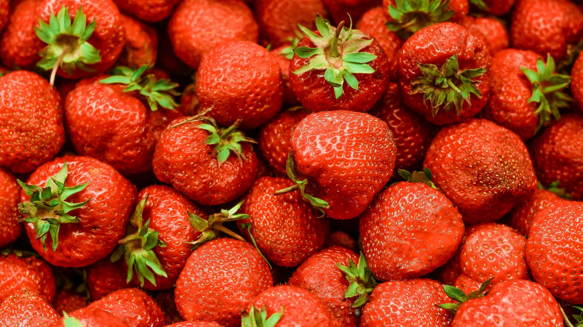 strawberry lot