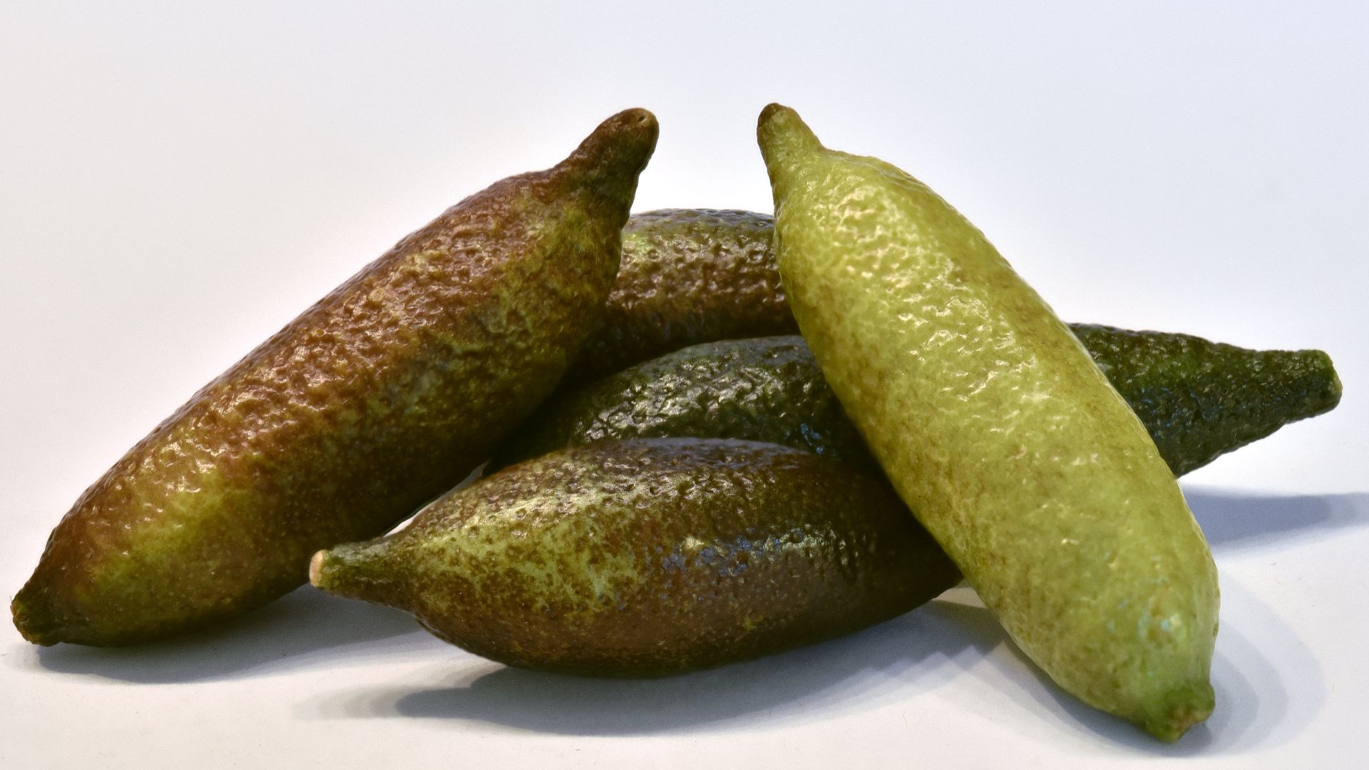 File:Citrus australasica - Australian finger lime - 5155.jpg