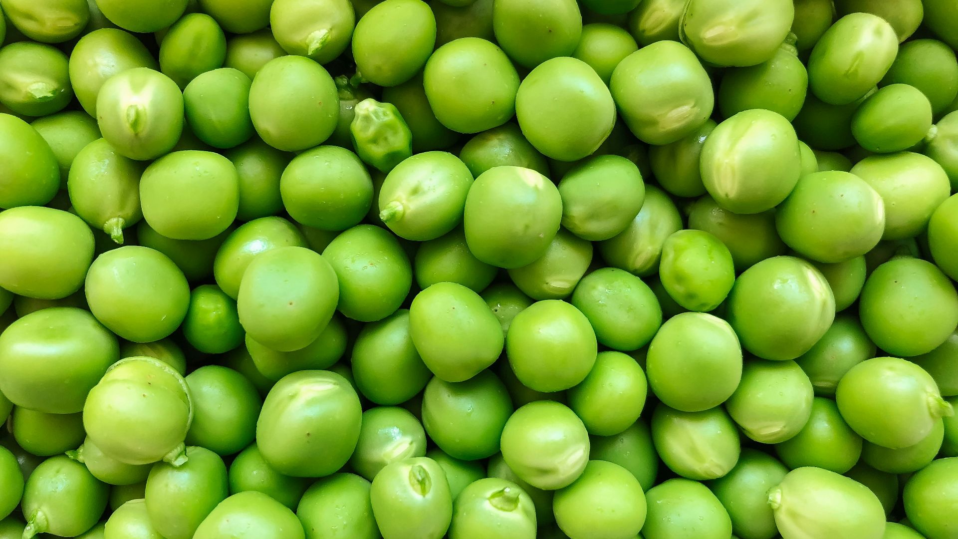 green round fruits in close up photography