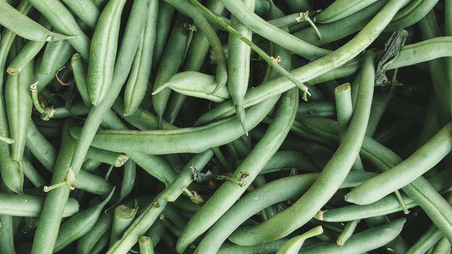 pile of green string beans