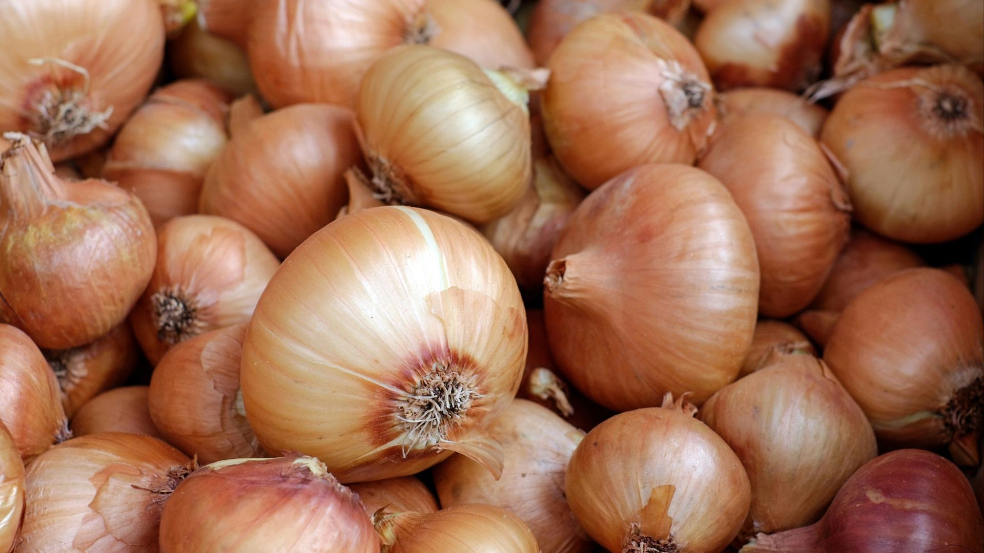 white garlic on brown wooden table