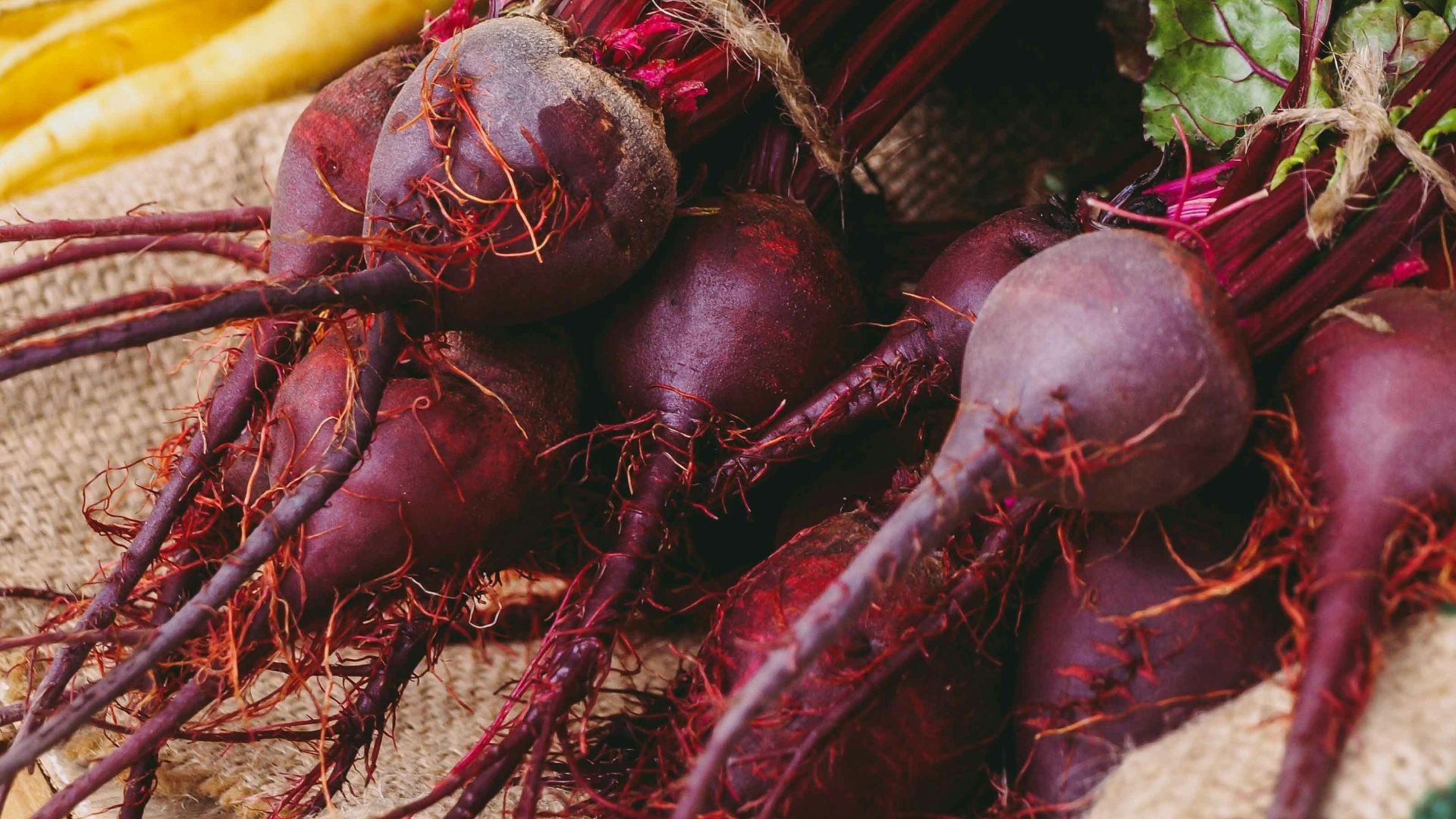 a table topped with lots of different types of vegetables