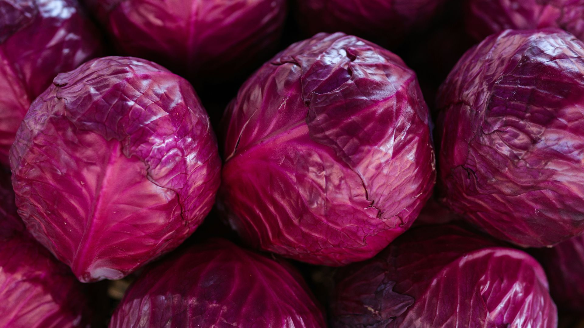 a pile of red cabbages sitting next to each other