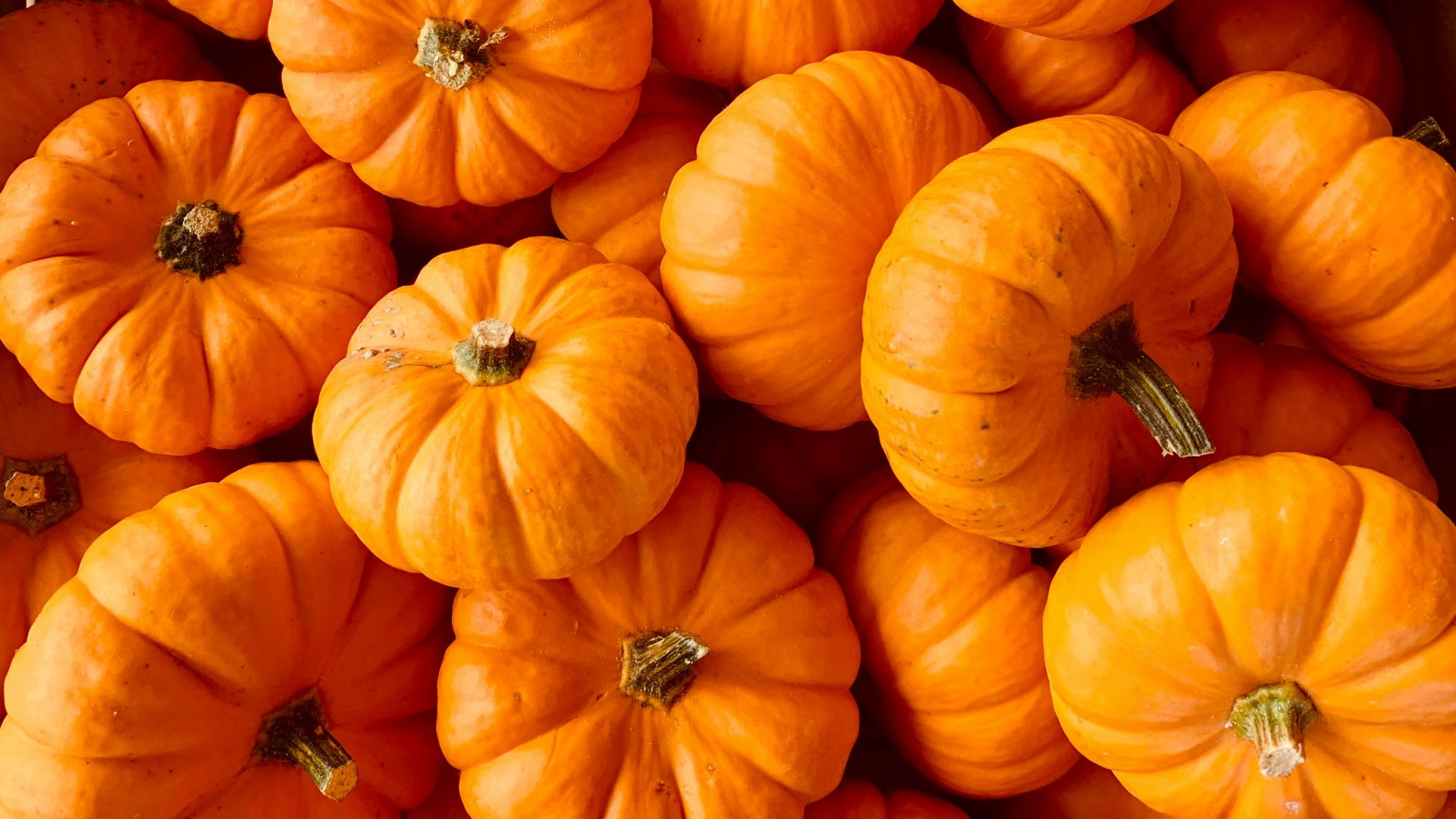 ile of orange pumpkins