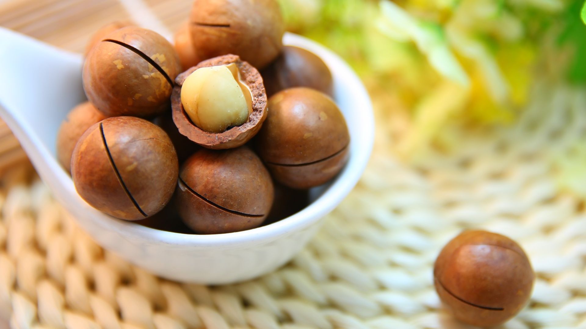 File:Macadamia nuts, with one cracked and exposing the nut.jpg