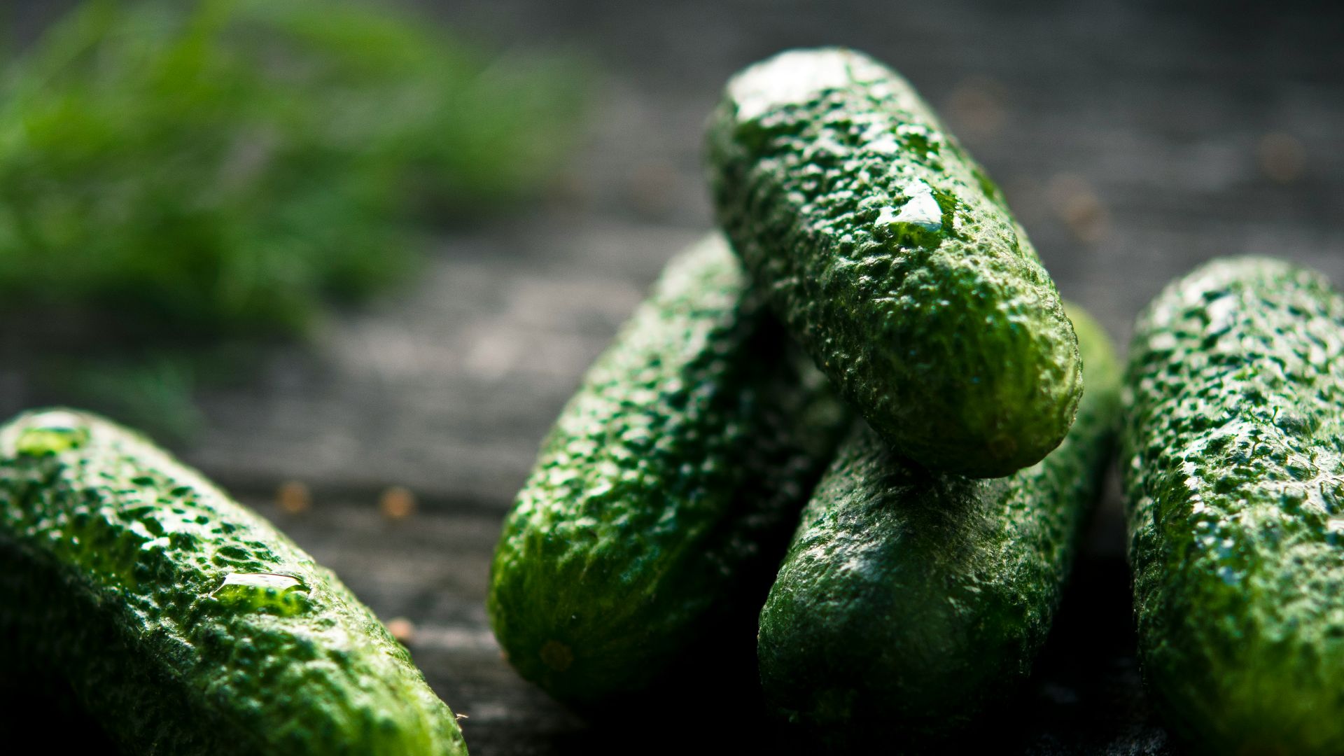 3 green cucumbers on black wooden table