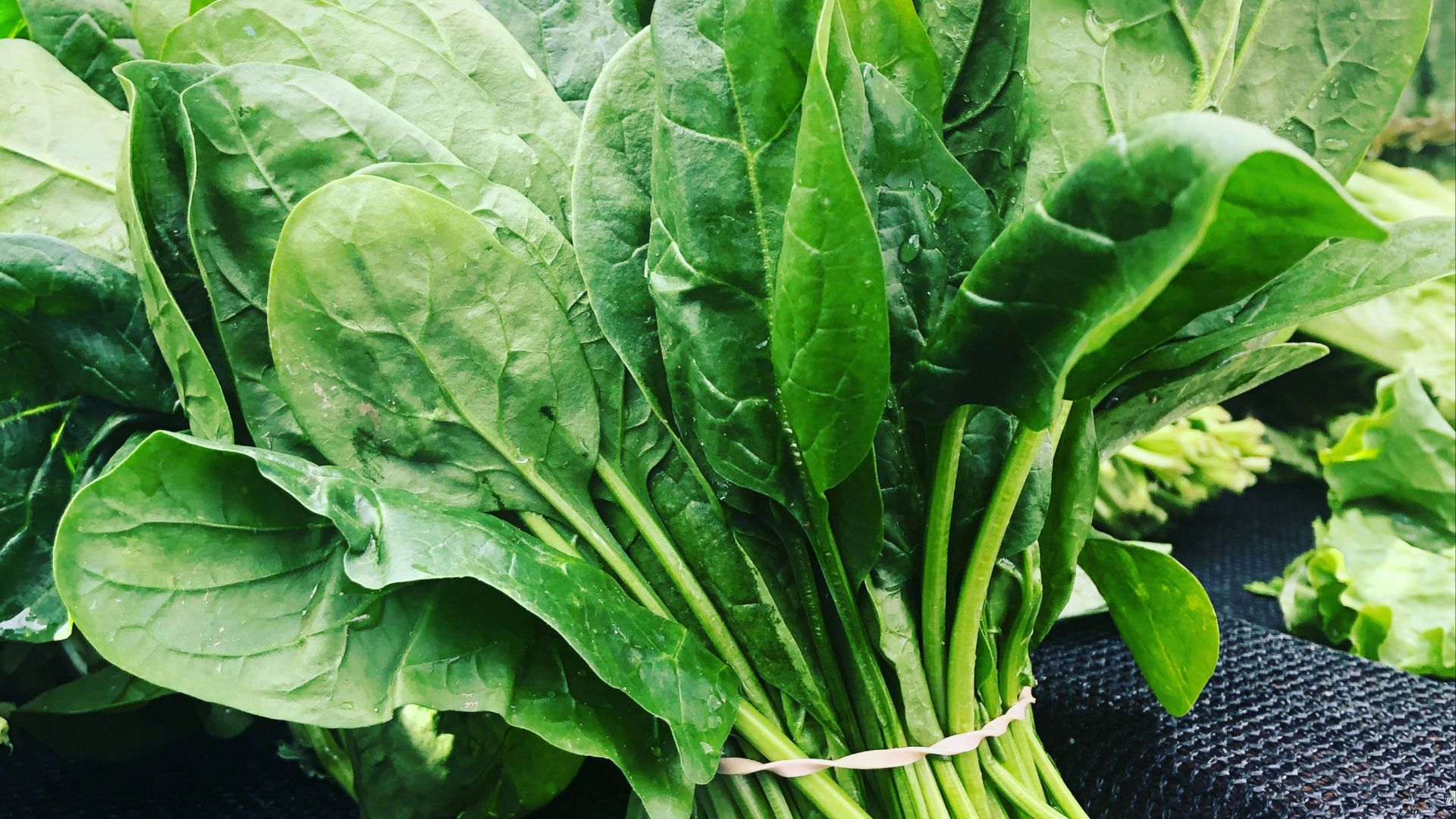 green leafy vegetables
