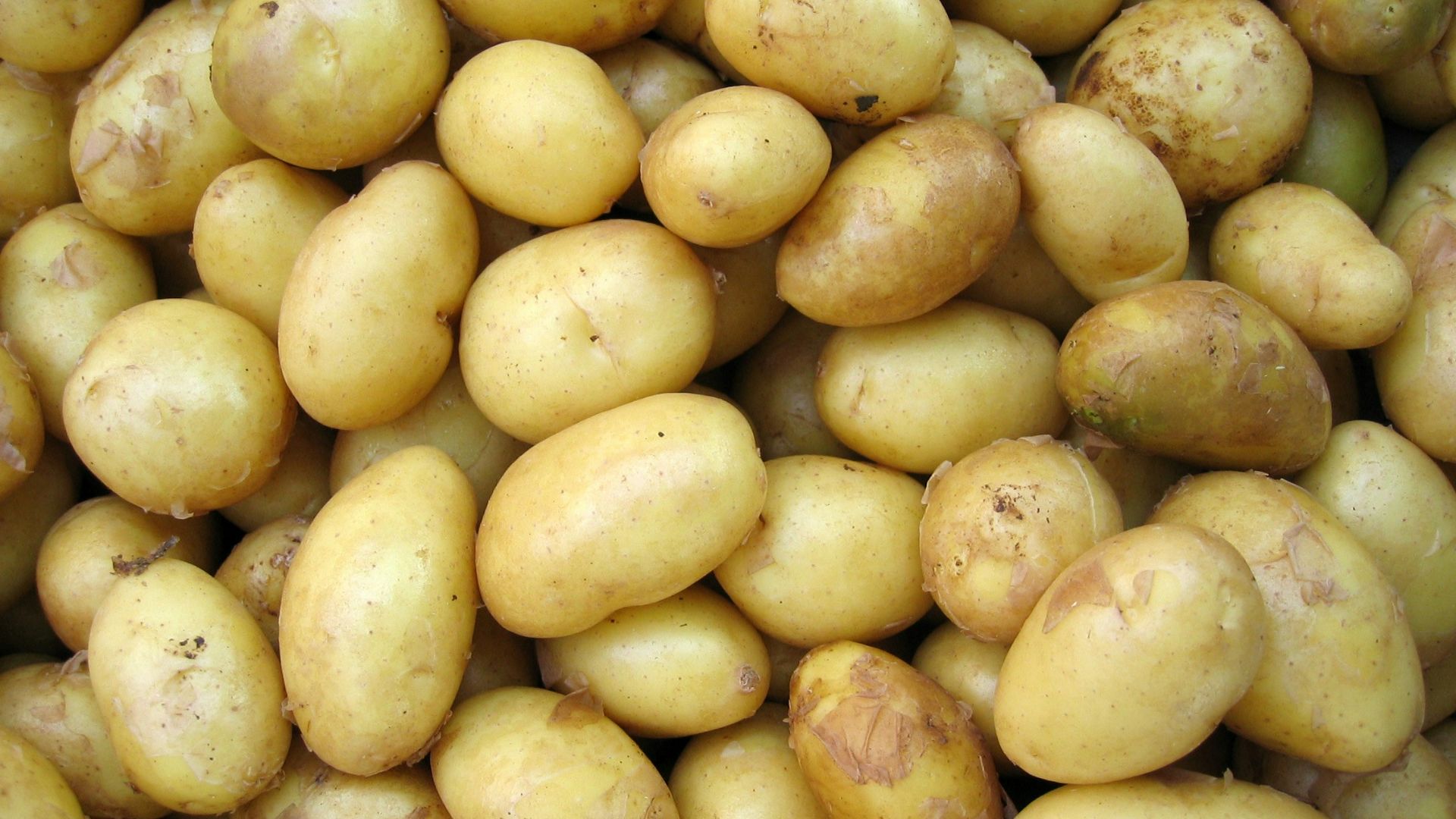 potatoes