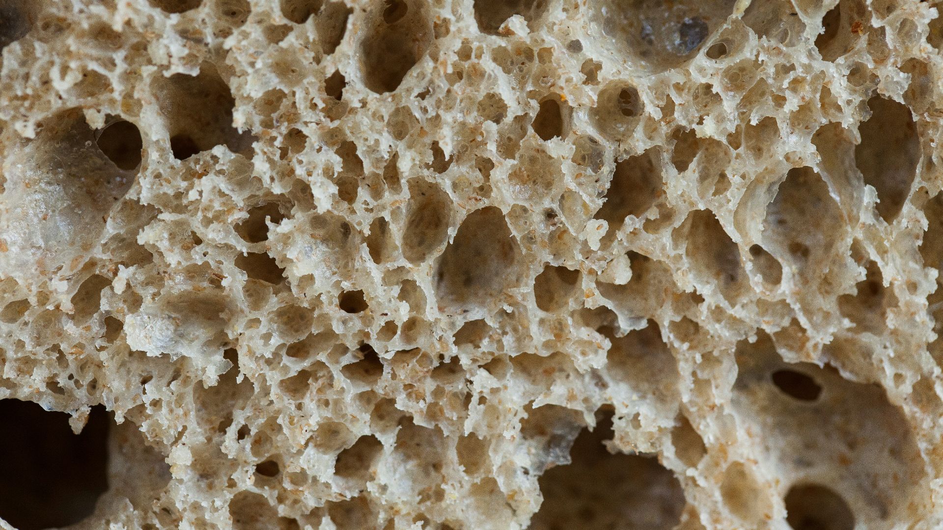 white and gray stone fragments