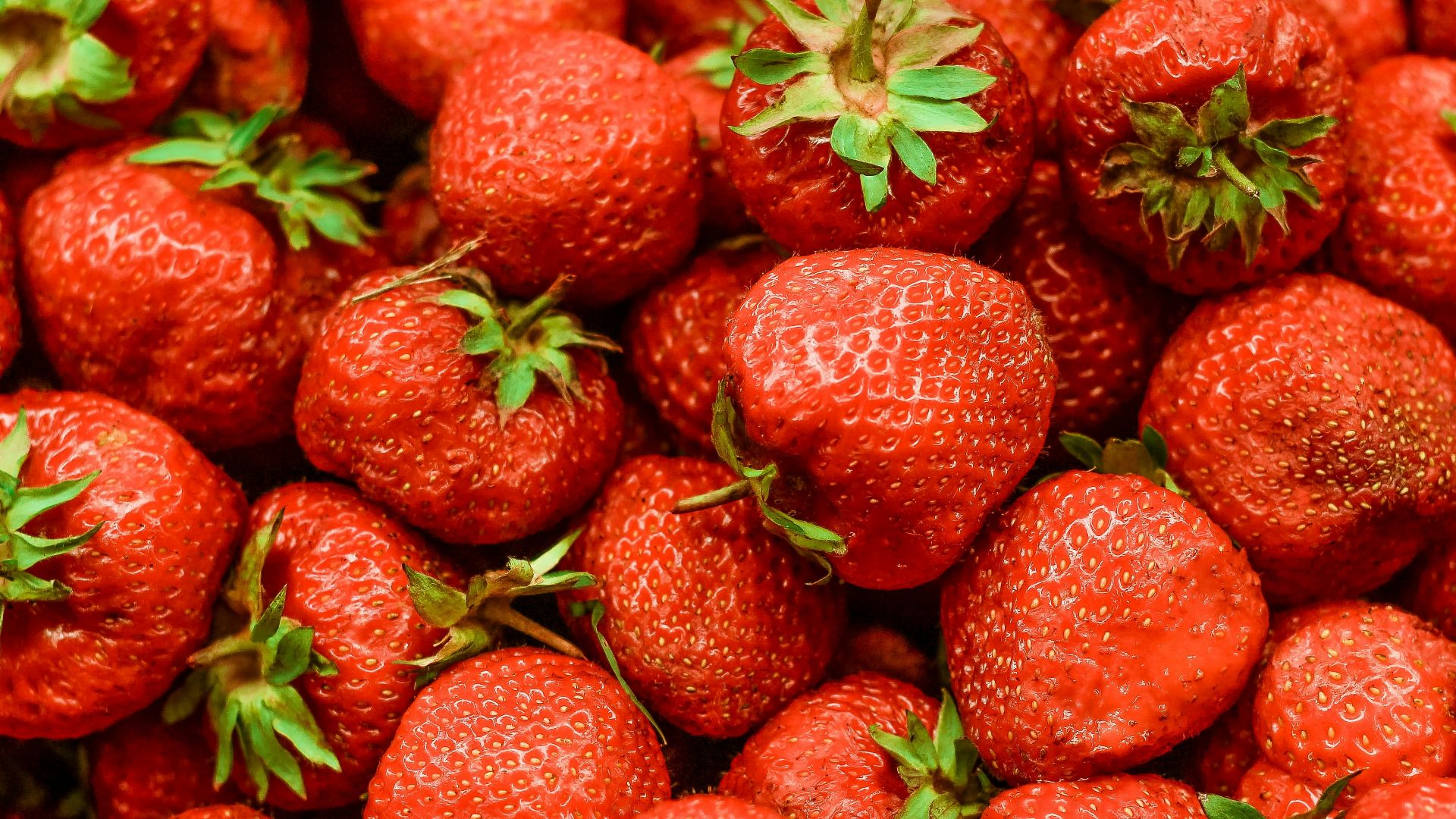 strawberry lot