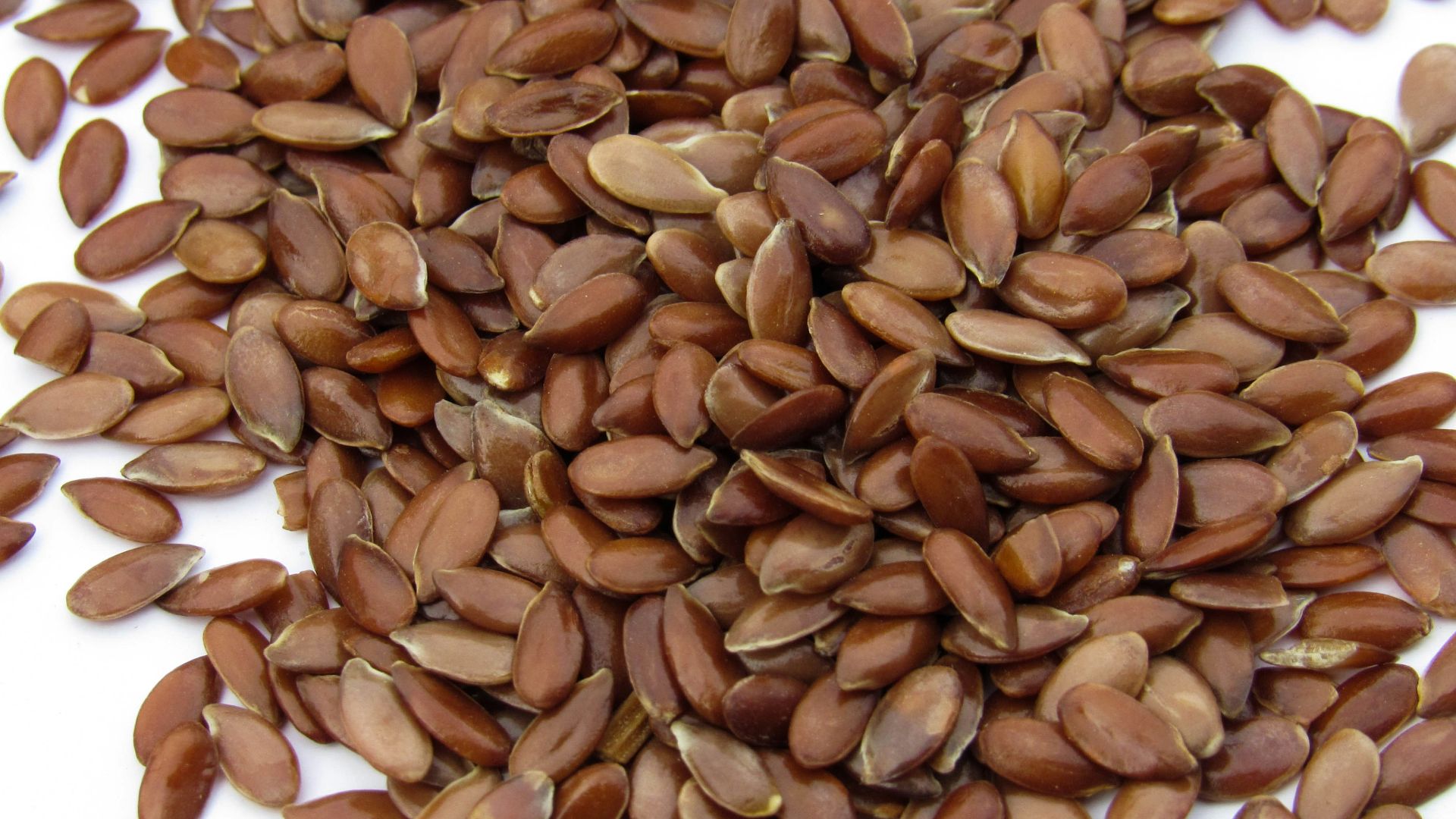 a pile of sunflower seeds on a white surface