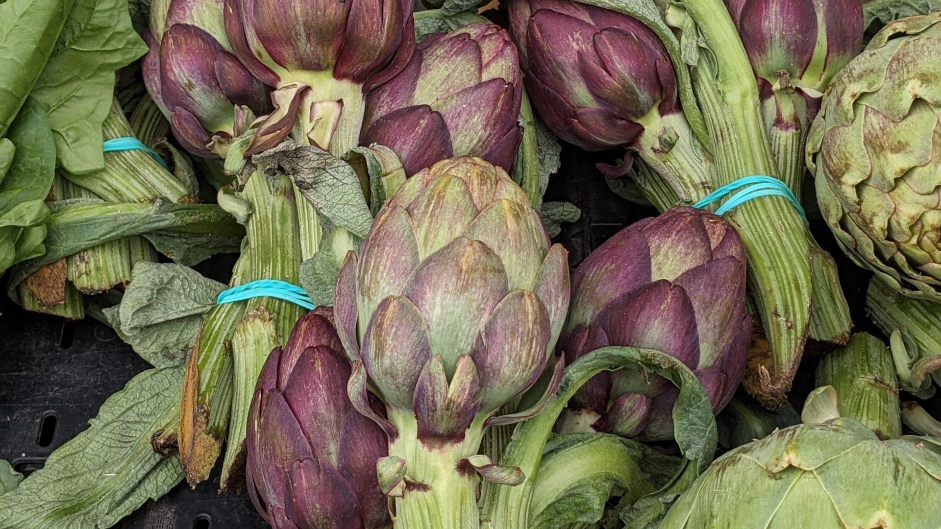 File:Artiŝoko en merkato.jpg