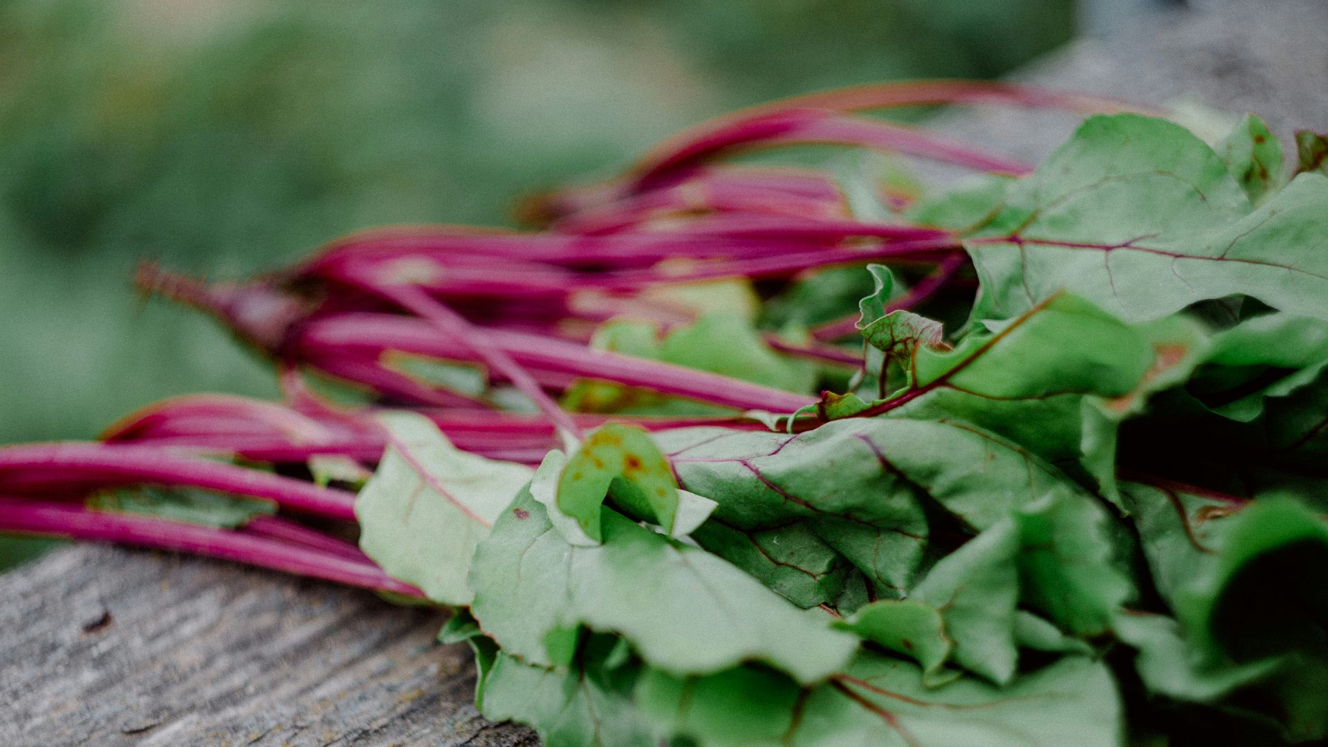 green leaves on brown wooden surface