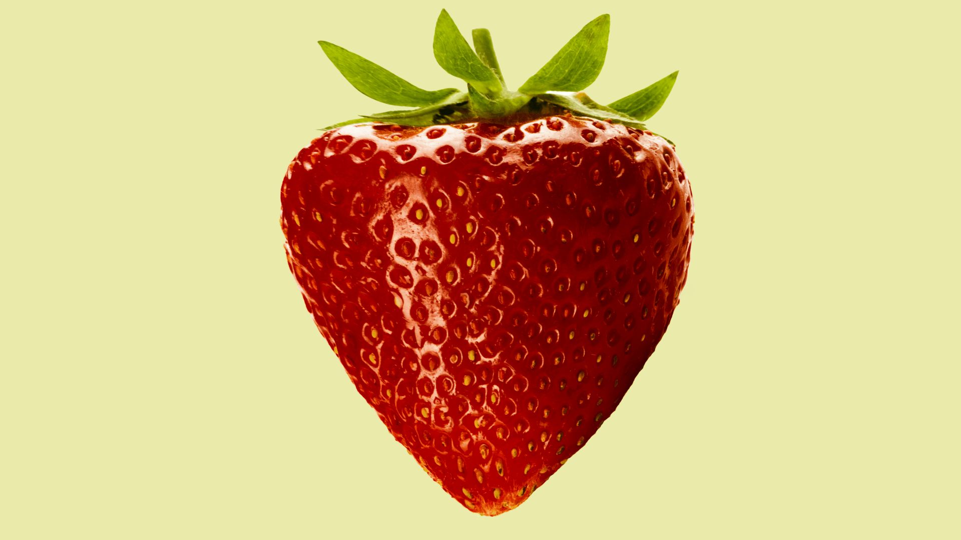 red strawberry fruit with white background