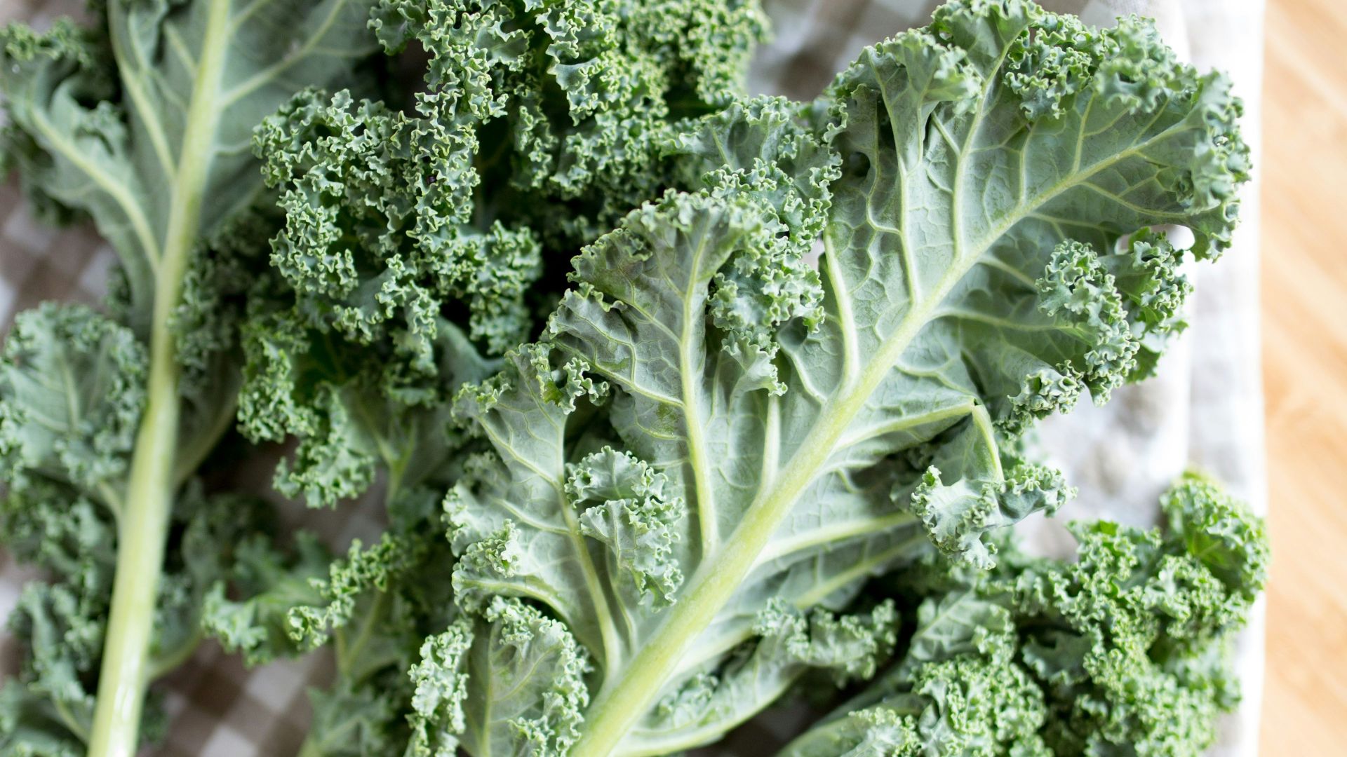 green leaf vegetable