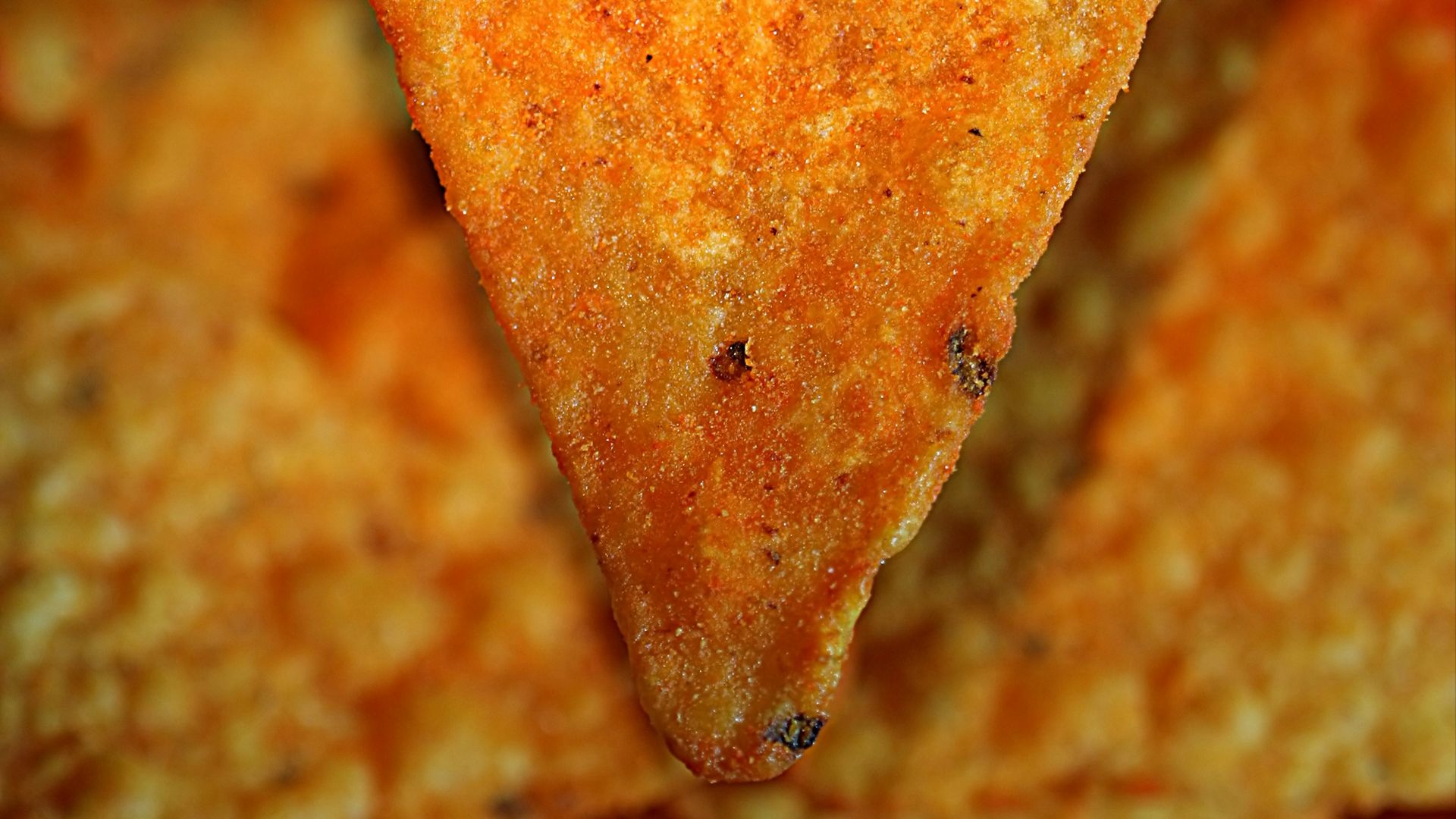 a close up of a slice of cheese pizza