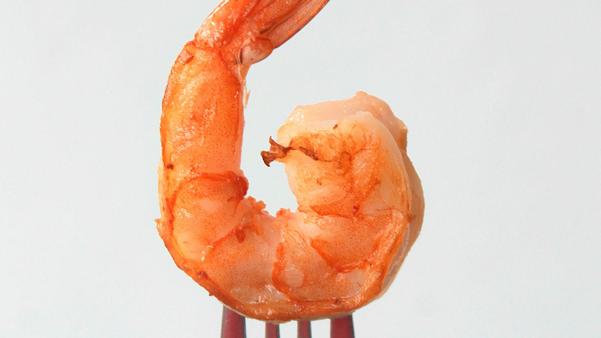 orange clay on stainless steel fork