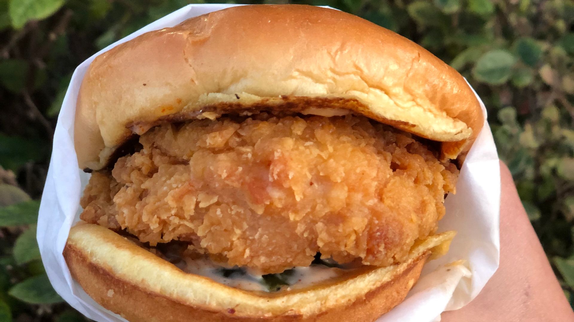 File:Popeyes chicken sandwich.jpg