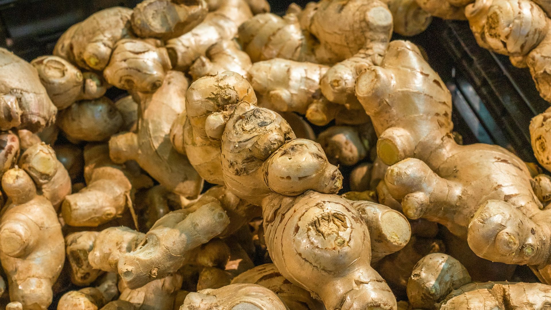 brown garlic on black plastic container