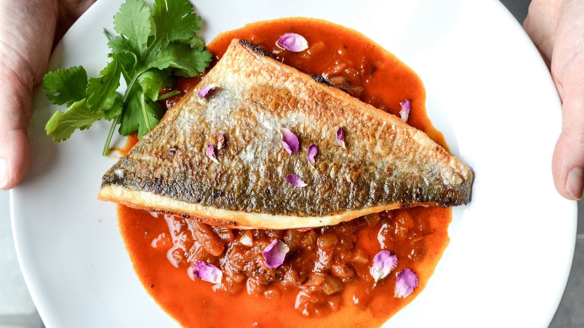 person serving salmon dish