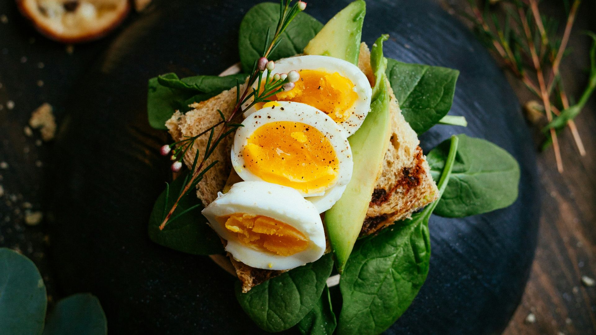 sandwich with boiled egg