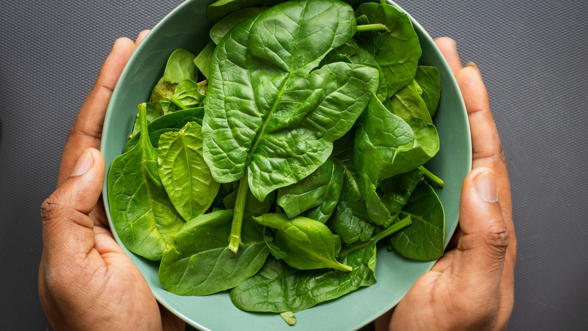 green leaves on blue plastic bowl