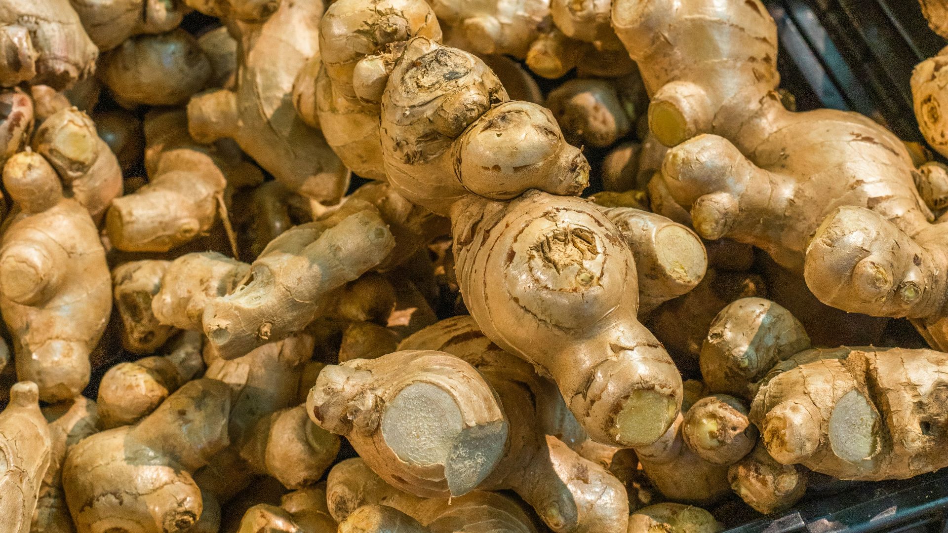 brown garlic on black plastic container