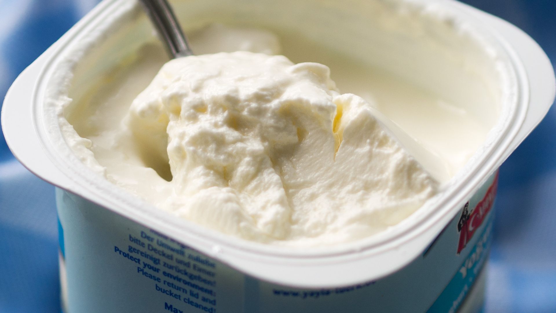 File:Turkish strained yogurt.jpg