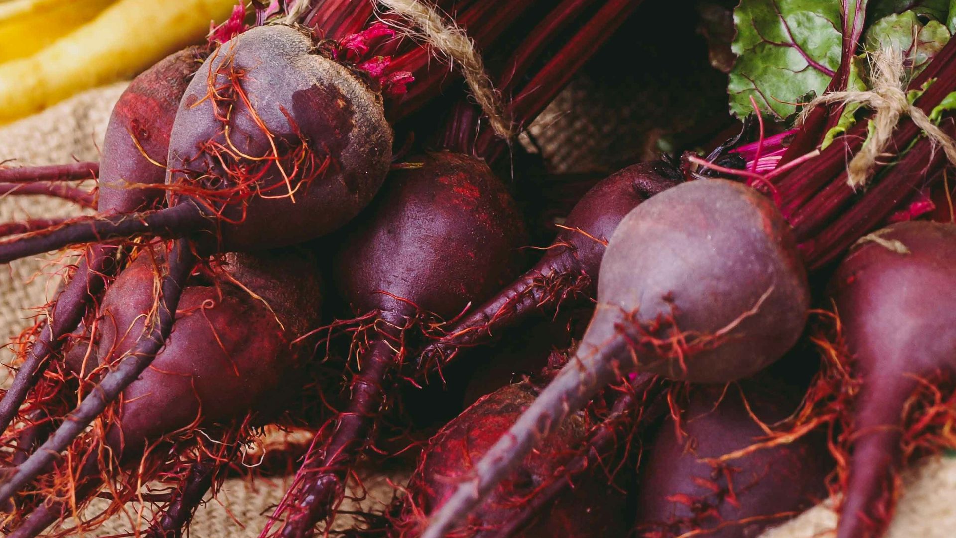 a table topped with lots of different types of vegetables