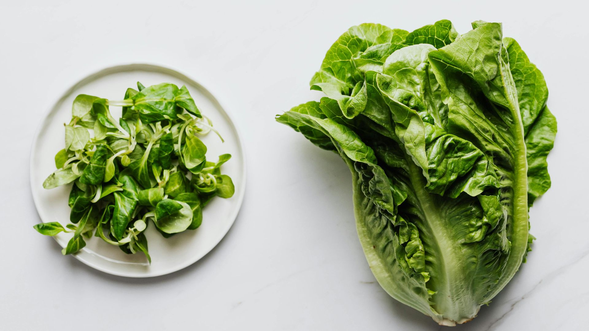 Photo By: Kaboompics.com