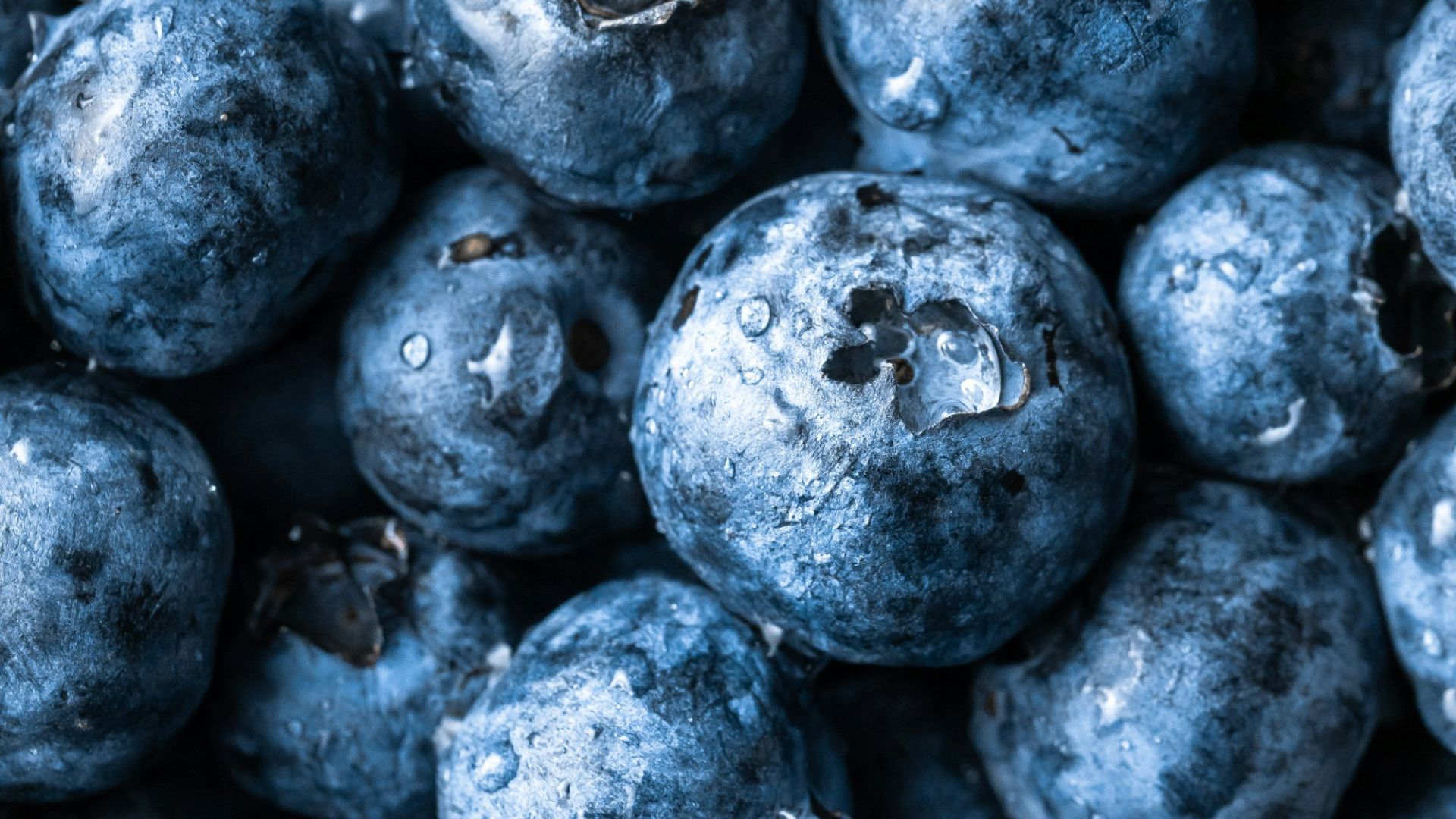 grayscale photography of round fruits
