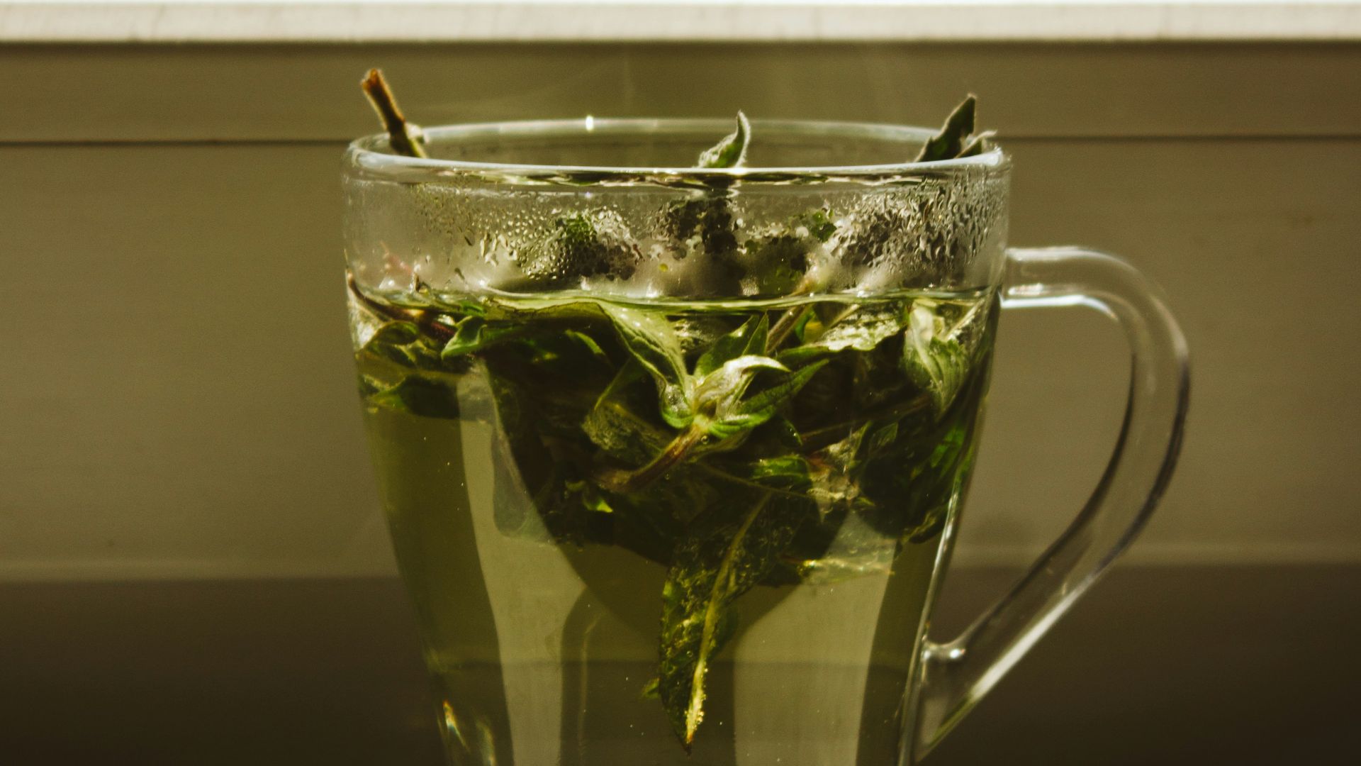 green leaf in clear glass mug