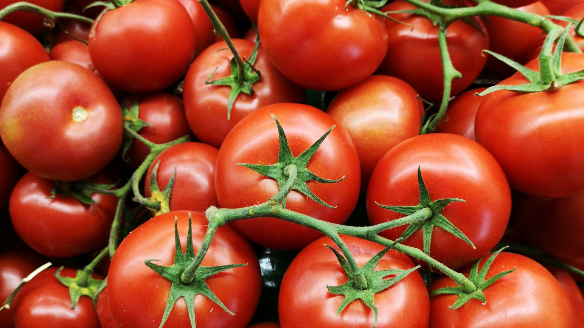 red tomatoes on brown wooden table